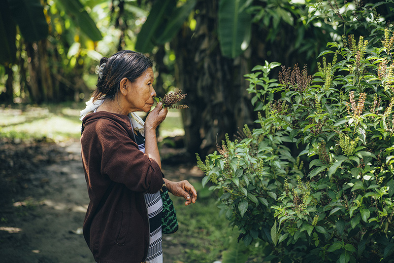 La spiritualité pour résister à l’extractivisme