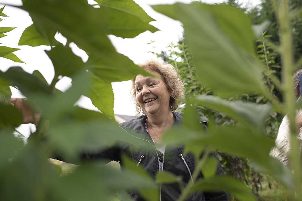 Une femme dans un potager