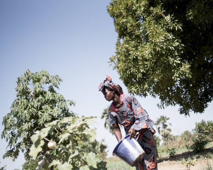 Au Mali, des agriculteurs face à la sécheresse