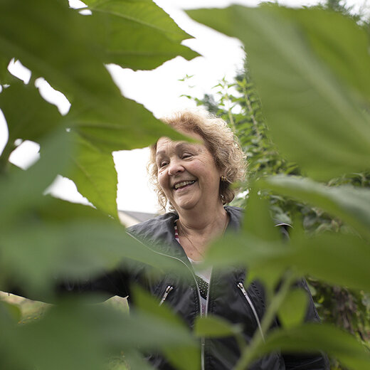 En Haute-Saône, un jardin pour bien manger et ne pas rester seul