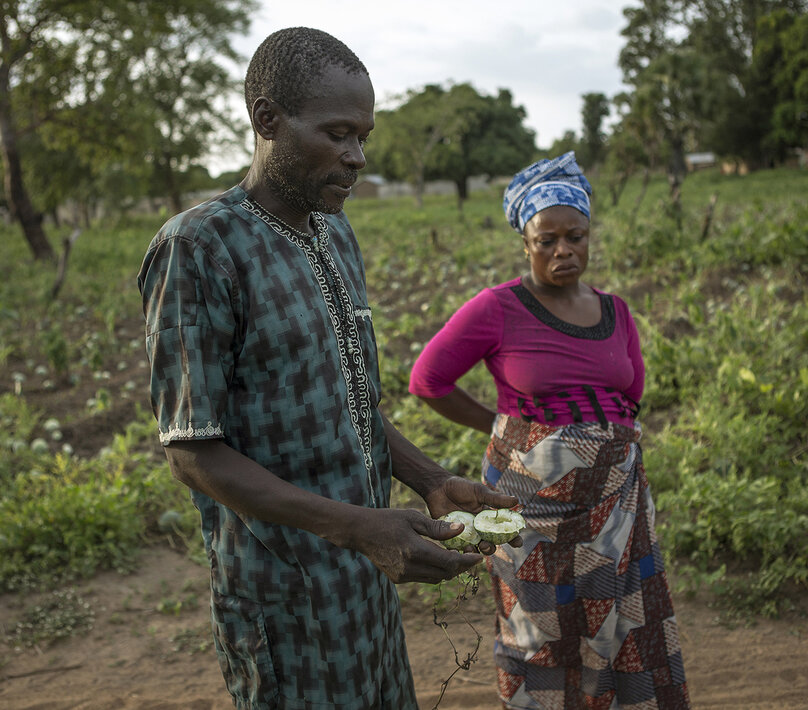 agriculteur Bénin