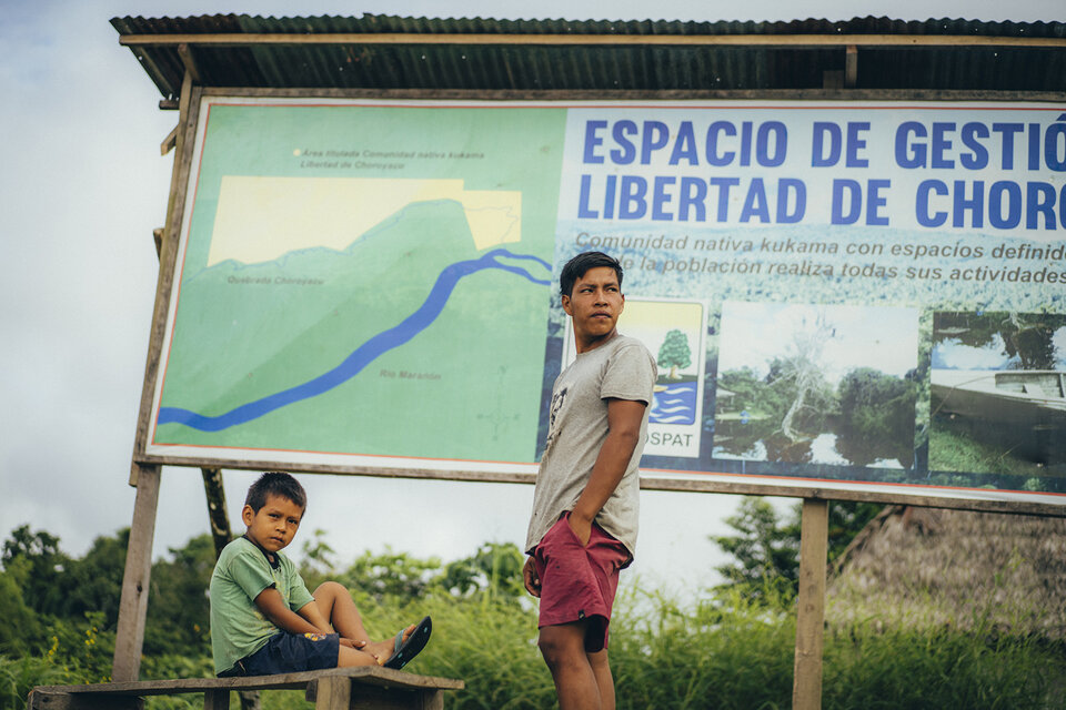 Amazonie : Défendre les gardiens de la forêt