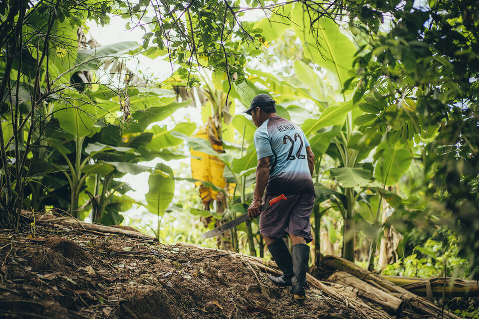 Un gardien dans la forêt amazonienne, au Pérou